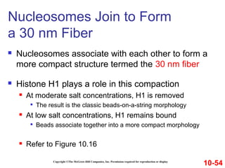 Copyright ©The McGraw-Hill Companies, Inc. Permission required for reproduction or display
 Nucleosomes associate with each other to form a
more compact structure termed the 30 nm fiber
 Histone H1 plays a role in this compaction
 At moderate salt concentrations, H1 is removed

The result is the classic beads-on-a-string morphology
 At low salt concentrations, H1 remains bound

Beads associate together into a more compact morphology
 Refer to Figure 10.16
Nucleosomes Join to Form
a 30 nm Fiber
10-54
 