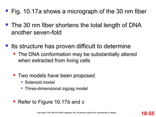 Copyright ©The McGraw-Hill Companies, Inc. Permission required for reproduction or display
 Fig. 10.17a shows a micrograph of the 30 nm fiber
 The 30 nm fiber shortens the total length of DNA
another seven-fold
 Its structure has proven difficult to determine
 The DNA conformation may be substantially altered
when extracted from living cells
 Two models have been proposed

Solenoid model

Three-dimensional zigzag model
 Refer to Figure 10.17b and c
10-55
 