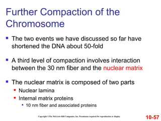 Copyright ©The McGraw-Hill Companies, Inc. Permission required for reproduction or display
 The two events we have discussed so far have
shortened the DNA about 50-fold
 A third level of compaction involves interaction
between the 30 nm fiber and the nuclear matrix
 The nuclear matrix is composed of two parts
 Nuclear lamina
 Internal matrix proteins

10 nm fiber and associated proteins
Further Compaction of the
Chromosome
10-57
 
