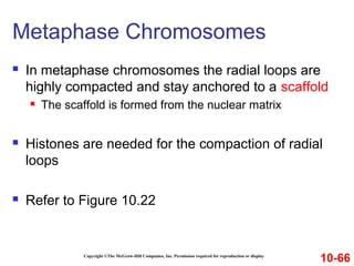 Copyright ©The McGraw-Hill Companies, Inc. Permission required for reproduction or display
 In metaphase chromosomes the radial loops are
highly compacted and stay anchored to a scaffold
 The scaffold is formed from the nuclear matrix
 Histones are needed for the compaction of radial
loops
 Refer to Figure 10.22
Metaphase Chromosomes
10-66
 