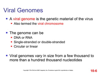  A viral genome is the genetic material of the virus
 Also termed the viral chromosome
 The genome can be
 DNA or RNA
 Single-stranded or double-stranded
 Circular or linear
 Viral genomes vary in size from a few thousand to
more than a hundred thousand nucleotides
Copyright ©The McGraw-Hill Companies, Inc. Permission required for reproduction or display
Viral Genomes
10-6
 