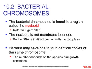  The bacterial chromosome is found in a region
called the nucleoid
 Refer to Figure 10.3
 The nucleoid is not membrane-bounded
 So the DNA is in direct contact with the cytoplasm
Copyright ©The McGraw-Hill Companies, Inc. Permission required for reproduction or display
10.2 BACTERIAL
CHROMOSOMES
10-10
 Bacteria may have one to four identical copies of
the same chromosome
 The number depends on the species and growth
conditions
 
