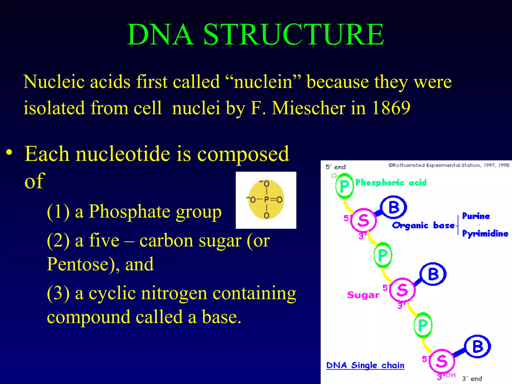 DNA STRUCTURE
 Nucleic acids first called “nuclein” because they were
 isolated from cell nuclei by F. Miescher in 1869

• Each nucleotide is composed
  of
    (1) a Phosphate group
    (2) a five – carbon sugar (or
    Pentose), and
    (3) a cyclic nitrogen containing
    compound called a base.
 