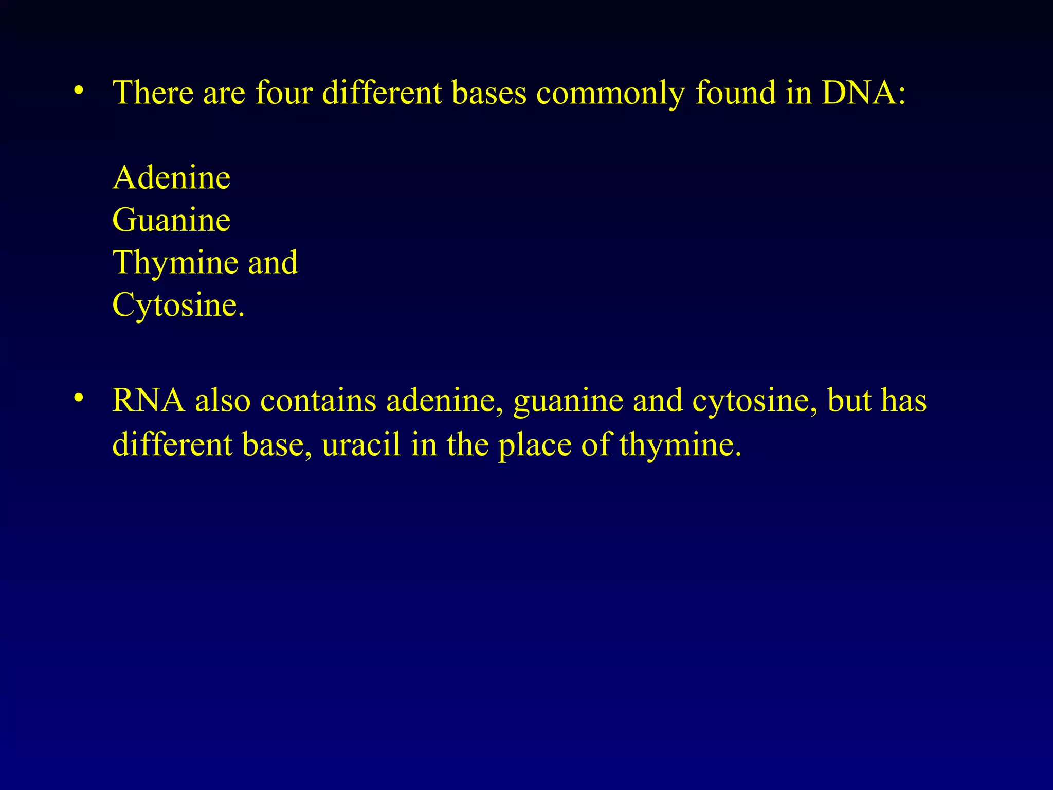 • There are four different bases commonly found in DNA:

  Adenine
  Guanine
  Thymine and
  Cytosine.

• RNA also contains adenine, guanine and cytosine, but has
  different base, uracil in the place of thymine.
 