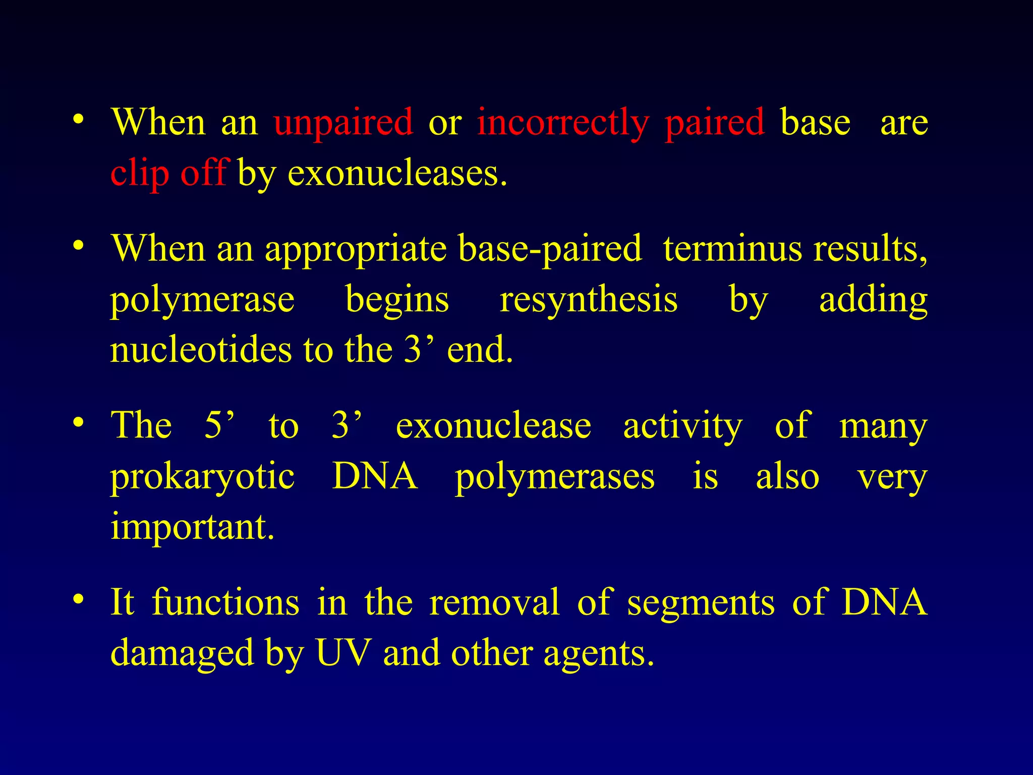 • When an unpaired or incorrectly paired base are
  clip off by exonucleases.
• When an appropriate base-paired terminus results,
  polymerase begins resynthesis by adding
  nucleotides to the 3’ end.
• The 5’ to 3’ exonuclease activity of many
  prokaryotic DNA polymerases is also very
  important.
• It functions in the removal of segments of DNA
  damaged by UV and other agents.
 