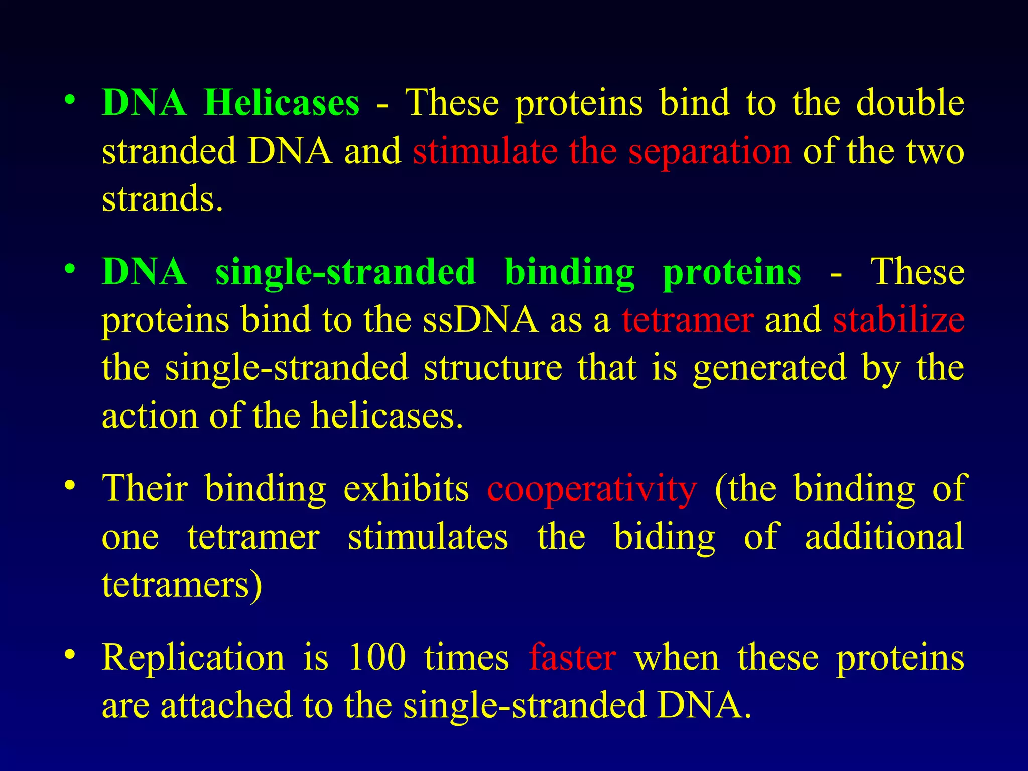 • DNA Helicases - These proteins bind to the double
  stranded DNA and stimulate the separation of the two
  strands.
• DNA single-stranded binding proteins - These
  proteins bind to the ssDNA as a tetramer and stabilize
  the single-stranded structure that is generated by the
  action of the helicases.
• Their binding exhibits cooperativity (the binding of
  one tetramer stimulates the biding of additional
  tetramers)
• Replication is 100 times faster when these proteins
  are attached to the single-stranded DNA.
 