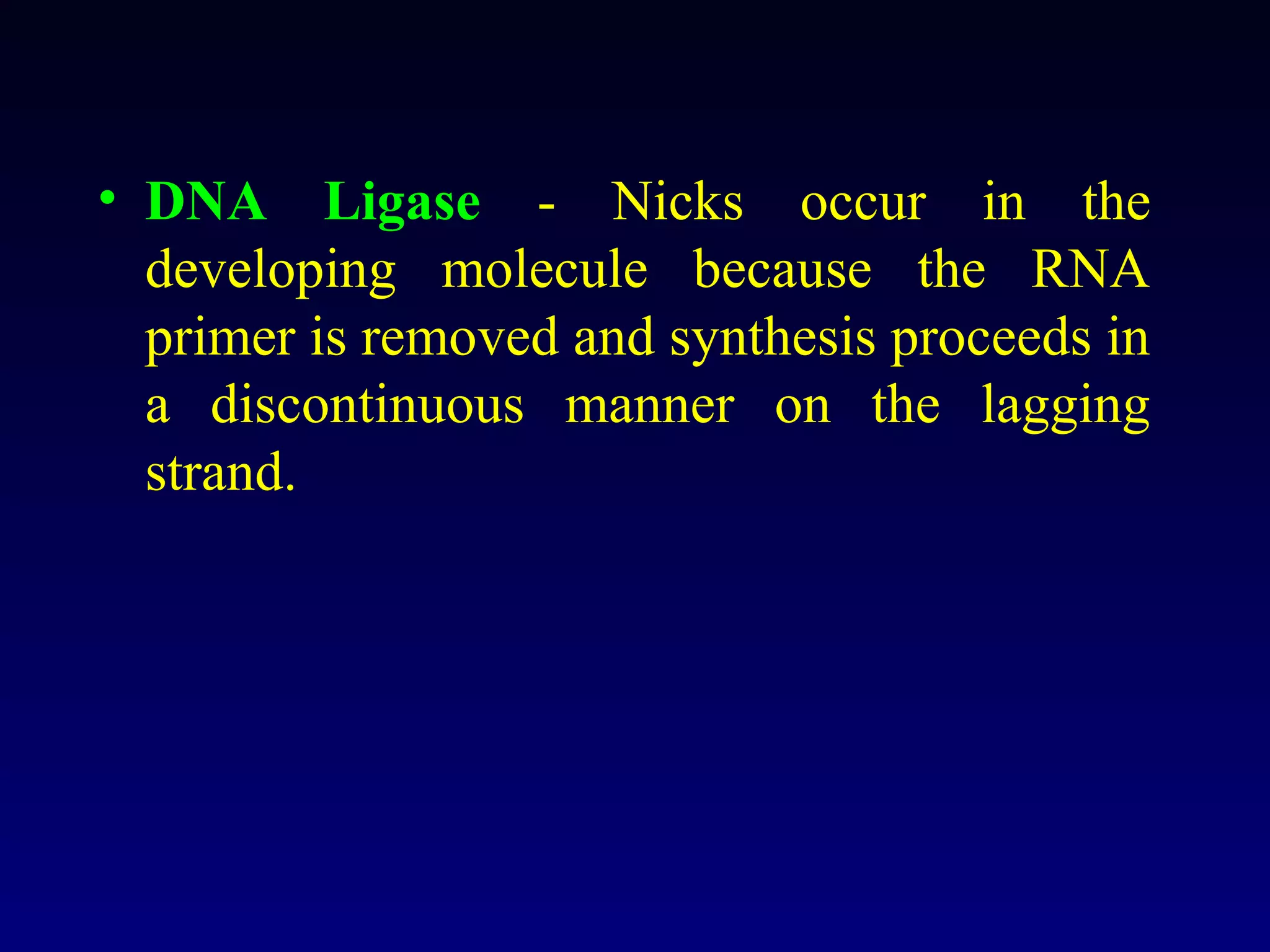 • DNA Ligase - Nicks occur in the
  developing molecule because the RNA
  primer is removed and synthesis proceeds in
  a discontinuous manner on the lagging
  strand.
 