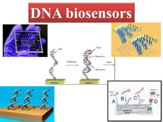 DNA biosensors
 