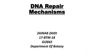 DNA Repair
Mechanisms
ZAINAB ZAIDI
17-BTM-18
GI2842
Department Of Botany
1
 