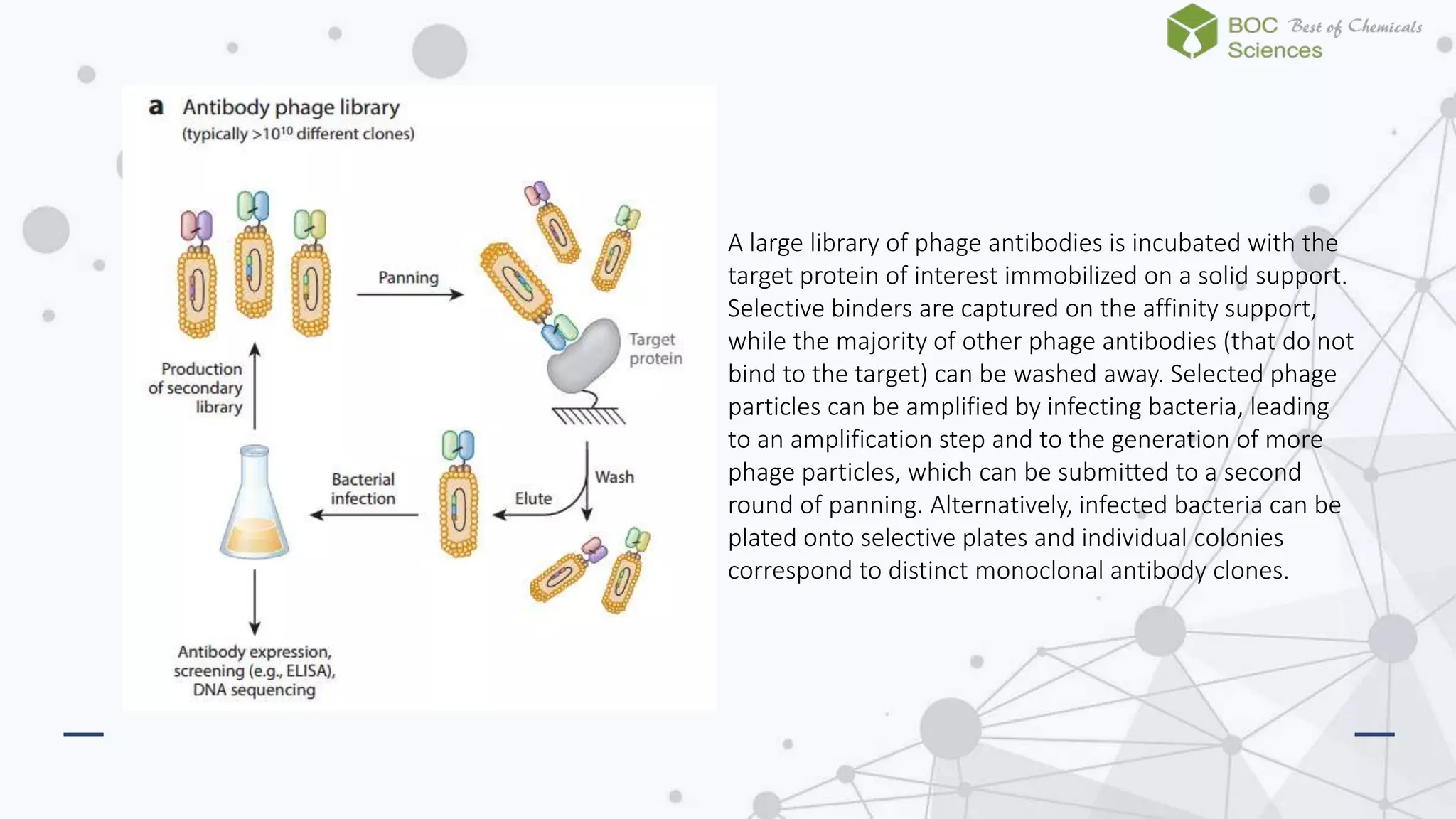 Dna encoded library technology-boc sciences | PPTX | Genetics | Science