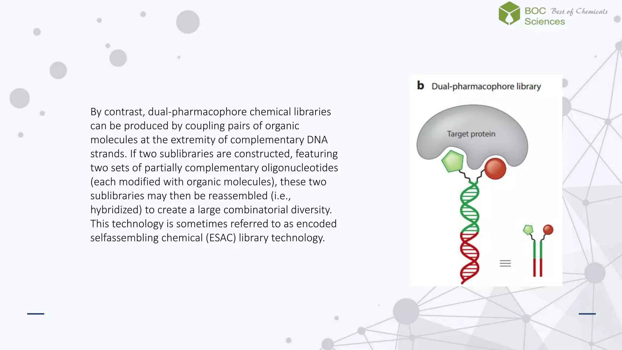 Dna encoded library technology-boc sciences | PPTX | Genetics | Science