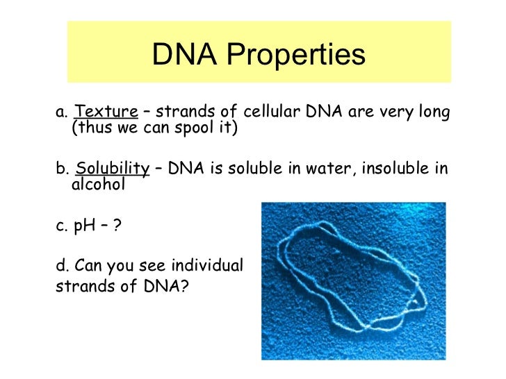 Dna Extraction Principles
