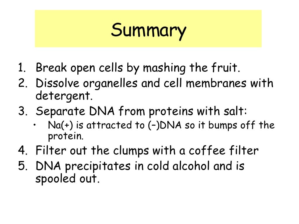 Principles Of Dna Extraction