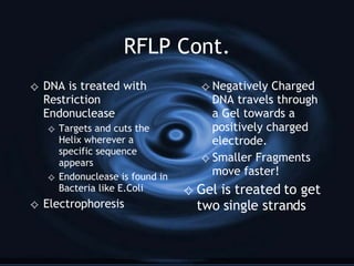 RFLP Cont. DNA is treated with Restriction Endonuclease Targets and cuts the Helix wherever a specific sequence appears Endonuclease is found in Bacteria like E.Coli Electrophoresis Negatively Charged DNA travels through a Gel towards a positively charged electrode. Smaller Fragments move faster! Gel is treated to get two single strands 