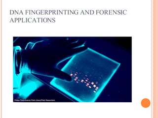 DNA FINGERPRINTING AND FORENSIC APPLICATIONS 