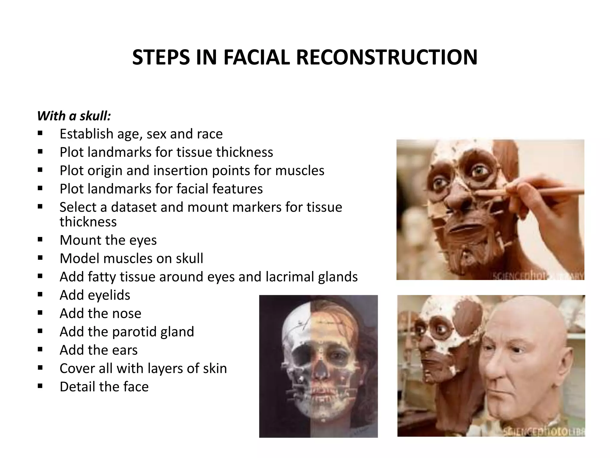 STEPS IN FACIAL RECONSTRUCTION
With a skull:
 Establish age, sex and race
 Plot landmarks for tissue thickness
 Plot origin and insertion points for muscles
 Plot landmarks for facial features
 Select a dataset and mount markers for tissue
thickness
 Mount the eyes
 Model muscles on skull
 Add fatty tissue around eyes and lacrimal glands
 Add eyelids
 Add the nose
 Add the parotid gland
 Add the ears
 Cover all with layers of skin
 Detail the face
 