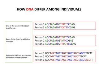 HOW DNA DIFFER AMONG INDIVIDUALS

One of the bases (letters) can
be different.

Person 1 AGCTAGATCGTTATTCCGAG
Person 2 AGCTAGATCGTCATTCCGAG

Bases (letters) can be added or
removed.

Person 1 AGCTAGATCGTTATTCCGAG
Person 2 AGCTAGATCGTATTCCGAG
Person 3 AGCTAGATCGTTTATTCCGAG

Regions of DNA can be repeated
a different number of times.

Person 1 GCCAGCTAGCTAGCTAGCTAGCTAGCTTTCAT
Person 2 GCCAGCTAGCTAGCTAGCTAGCTTTCAT
Person 3 GCCAGCTAGCTAGCTAGCTAGCTAGCTAGCTT

 