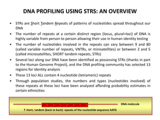 DNA PROFILING USING STRS: AN OVERVIEW
•
•
•

•

•
•

STRs are Short Tandem Repeats of patterns of nucleotides spread throughout our
DNA
The number of repeats at a certain distinct region (locus, plural=loci) of DNA is
highly variable from person to person allowing their use in human identity testing
The number of nucleotides involved in the repeats can vary between 9 and 80
(called variable number of repeats, VNTRs, or minisatellites) or between 2 and 5
(called microsatellites, SHORT tandem repeats, STRs)
Several loci along our DNA have been identified as possessing STRs (thanks in part
to the Human Genome Project), and the DNA profiling community has selected 13
regions for identity analysis
These 13 loci ALL contain 4 nucleotide (tetrameric) repeats
Through population studies, the numbers and types (nucleotides involved) of
these repeats at these loci have been analyzed affording probability estimates in
certain ethnicities

AATG

AATG

AATG

AATG

AATG

AATG

AATG

7 short, tandem (back to back) repeats of the nucleotide sequence AATG

DNA molecule

 