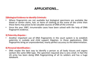 APPLICATIONS…
2)Biological Evidence to Identify Criminals:
• Where fingerprints are not available but biological specimens are available like
blood or semen stains, hair, or items of clothing at the scene of the crime then
these items may prove to be valuable sources of DNA of the criminal.
• Since the year 1987, innumerable cases have been solved with the help of DNA
fingerprint evidence.
3) Paternity disputes :
• Another important use of DNA fingerprints in the court system is to establish
paternity in custody and child support litigation. In these applications, DNA
fingerprints bring an unprecedented, nearly perfect accuracy to the determination.
4) Personal Identification :
• DNA maybe the best way to identify a person as all body tissues and organs
contain the same DNA type. The specimen required also is very small. In fact the
US army has been doing DNA fingerprinting of all its soldiers and has a huge
databank.

 