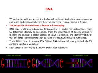 DNA
•

•
•

•
•

When human cells are present in biological evidence, their chromosomes can be
examined to determine whether the evidence comes from a male or a female.
The analysis of chromosomes is known as karyotyping.
DNA fingerprinting, also known as DNA profiling, is used in criminal and legal cases
to determine identity or parentage, Trace the inheritance of genetic disorders,
Identify the origin of a blood, semen, or saliva in a sample, and identify victims of
war and large-scale disasters such as plane crashes, tsunamis, and hurricanes.
Three billion bases in human DNA, 99% of DNA is identical among individuals. 1%
contains significant variation.
Each person’s DNA Profile is unique, Except Identical Twins

 