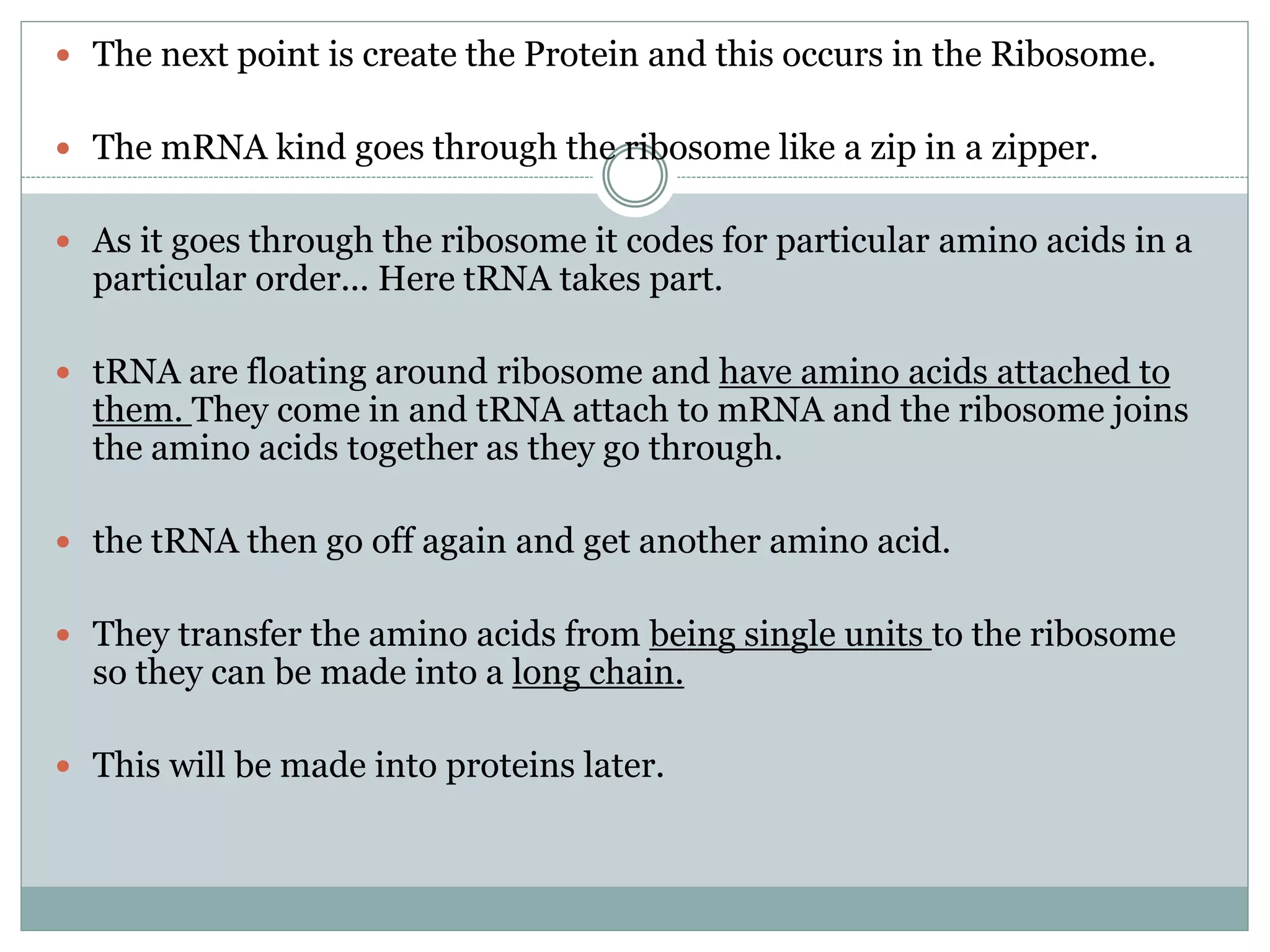  The next point is create the Protein and this occurs in the Ribosome.
 The mRNA kind goes through the ribosome like a zip in a zipper.
 As it goes through the ribosome it codes for particular amino acids in a
particular order... Here tRNA takes part.
 tRNA are floating around ribosome and have amino acids attached to
them. They come in and tRNA attach to mRNA and the ribosome joins
the amino acids together as they go through.
 the tRNA then go off again and get another amino acid.
 They transfer the amino acids from being single units to the ribosome
so they can be made into a long chain.
 This will be made into proteins later.
 