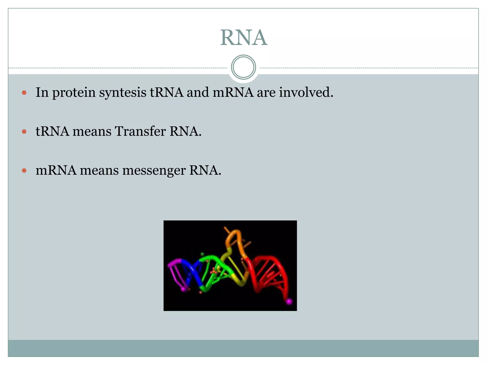 RNA
 In protein syntesis tRNA and mRNA are involved.
 tRNA means Transfer RNA.
 mRNA means messenger RNA.
 