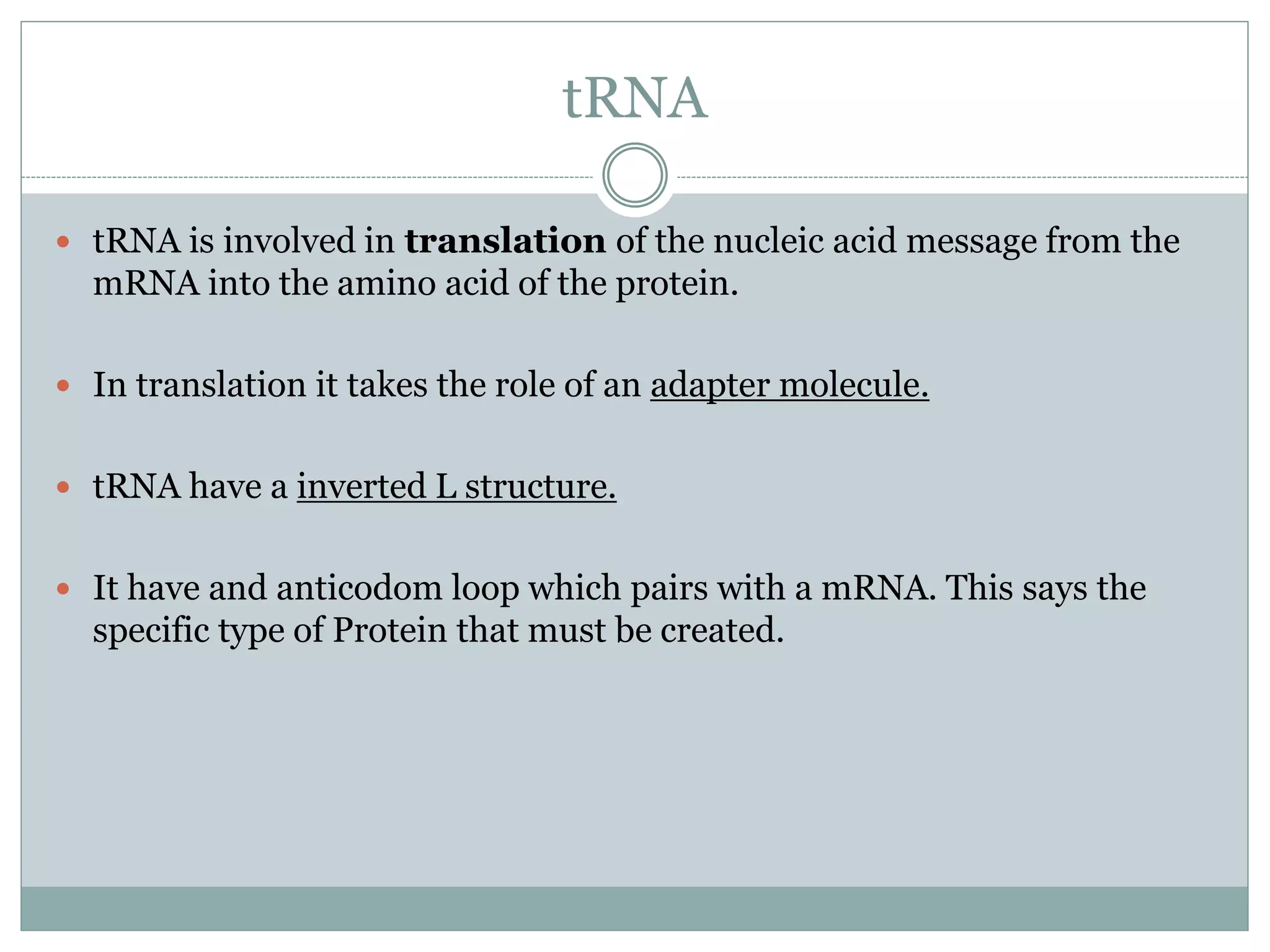 tRNA
 tRNA is involved in translation of the nucleic acid message from the
mRNA into the amino acid of the protein.
 In translation it takes the role of an adapter molecule.
 tRNA have a inverted L structure.
 It have and anticodom loop which pairs with a mRNA. This says the
specific type of Protein that must be created.
 