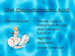 DNA (Deoxyribonucleic Acid) chemical code master copy of instructions for cell structure and function agenda blueprints owner’s manual 