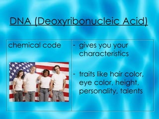 DNA (Deoxyribonucleic Acid) chemical code gives you your characteristics traits like hair color, eye color, height, personality, talents 