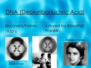 DNA (Deoxyribonucleic Acid) discovery/history 1950’s x-rayed by Rosalind Franklin DNA X-ray Rosalind Franklin 