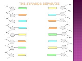 PO4
PO4
PO4
PO4
PO4
PO4
PO4
PO4
PO4
PO4
PO4
PO4
PO4
PO4
PO4
PO4
 