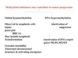 Methylation imbalance may contribute to tumor progression
Global hypomethylation DNA hypermethylation
Observed in neoplastic cells inactivation of
tumor suppressor
genes p16
BRCA1
May include neoplastic
Transformation inactivation of DNA repair
genes MLH1,MGMT
Genomic instability
Abnormal chromosomal
structure & activating oncogenes.
 