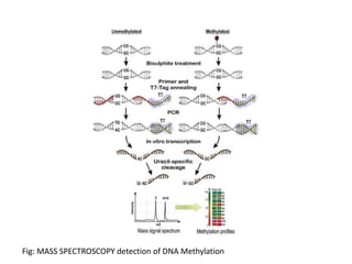 Fig: MASS SPECTROSCOPY detection of DNA Methylation
 