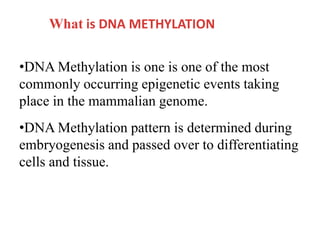 What is DNA METHYLATION
•DNA Methylation is one is one of the most
commonly occurring epigenetic events taking
place in the mammalian genome.
•DNA Methylation pattern is determined during
embryogenesis and passed over to differentiating
cells and tissue.
 