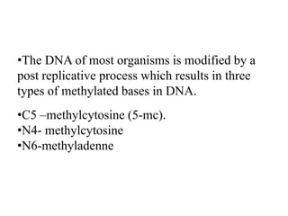 •The DNA of most organisms is modified by a
post replicative process which results in three
types of methylated bases in DNA.
•C5 –methylcytosine (5-mc).
•N4- methylcytosine
•N6-methyladenne
 