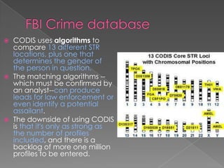 DNA Profiling | PPTX