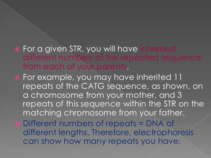 DNA Profiling