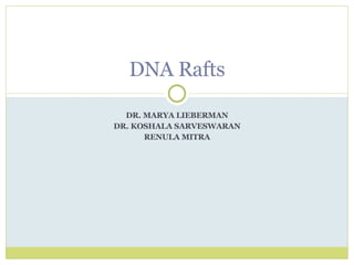 DR. MARYA LIEBERMAN DR. KOSHALA SARVESWARAN RENULA MITRA DNA Rafts 