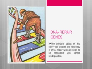 DNA- REPAIR
GENES
The principal object of this
study was analize the frecuency
of DNA- repair wich are know to
be associated with cancer
predisposition.
 
