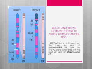 BRCA1 AND BRCA2
INCREASE THE RISK TO
SUFFER UTERINE CANCER
TOO.
BRCA1 gene is located on
the long (q) arm of
chromosome 17 and The
BRCA2 gene is located on the
long (q) arm of chromosome
13
 