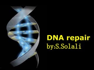 DNA repair by:S.Solali 