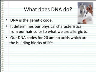 What does DNA do?
• DNA is the genetic code.
• It determines our physical characteristics:
  from our hair color to what we are allergic to.
• Our DNA codes for 20 amino acids which are
  the building blocks of life.
 