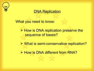 [object Object],[object Object],[object Object],[object Object],DNA Replication 