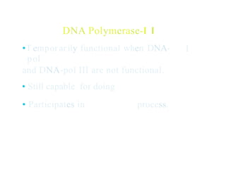 DNA Polymerase-I I
•T emporarily functional when DNA-
pol
and DNA-pol III are not functional.
• Still capable for doing
I
• Participates in process.
 