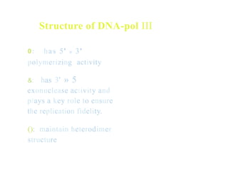 Structure of DNA-pol III
has 5' » 3'
0:
polymerizing activity
&: has 3' » 5
exonuclease activity and
plays a key role to ensure
the replication fidelity.
(): maintain heterodimer
structure
 