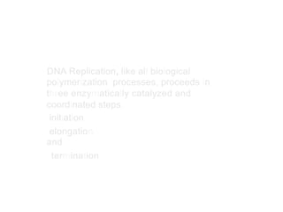 DNA Replication, like all biological
polymerization processes, proceeds in
three enzymatically catalyzed and
coordinated steps:
initiation
elongation
and
termination
 