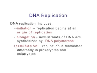DNA Replication
DNA replication includes:
--initiation -- replication begins at an
ori gin of replication
- elongation - new strands of DNA are
synthesized by DNA polymerase
t e r m i n a t i o n replication is terminated
differently in prokaryotes and
eukaryotes
 