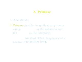 A Primase
•
•
Also called
Primase
using
the
is able to synthesize primers
as the substrate and
as the template.
are short RNA fragments of a
nucleotides long.
several
 
