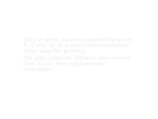 Once all of the bases are matched up (A with
T, C with G), an enzyme called exonuclease
strips away the primer(s).
The gaps where the primer(s) were are then
filled by yet more complementary
nucleotides.
 