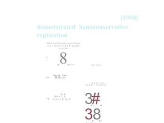 [1958]
demonstrated Semiconservative
replication
DNA o rtreted an d cen t ri fu g ed
to u t i t r u r n n € C T d n a t t y
g r a d i n t
o
r
i
g
i
n
8a
lp a r e n t
t
n o . c u l
Mytr@ DNA
M N I4N»
ct»
t o r t i - o n
d u g h t r r o e l o
3t
l
c
o
#nd
e
3t
e
n
8t
i
o
n
L e
D N A ( ' N
t e H y b r i d D N A
 